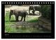 Thumbnail-12