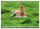 Thumbnail-8