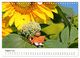 Thumbnail-10