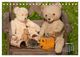 Thumbnail-9