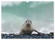 Thumbnail-12