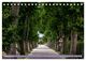 Thumbnail-11
