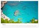Thumbnail-9