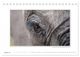 Thumbnail-10