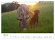 Thumbnail-9