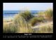 Thumbnail-12