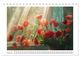 Thumbnail-10