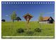 Thumbnail-11