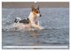 Thumbnail-8