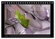 Thumbnail-13