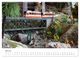 Thumbnail-9