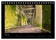Thumbnail-8