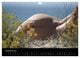 Thumbnail-13
