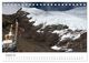 Thumbnail-13