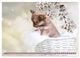Thumbnail-11