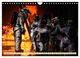 Thumbnail-14