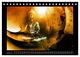 Thumbnail-13