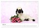 Thumbnail-9