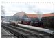 Thumbnail-13