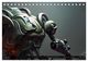 Thumbnail-11
