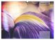 Thumbnail-14