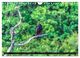 Thumbnail-12