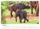 Thumbnail-10
