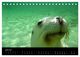 Thumbnail-11