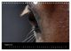 Thumbnail-10