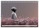 Thumbnail-13