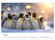 Thumbnail-9