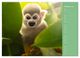 Thumbnail-11