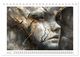 Thumbnail-11