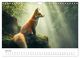 Thumbnail-9