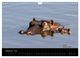 Thumbnail-11