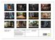 Thumbnail-9