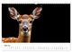 Thumbnail-10