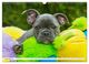 Thumbnail-4