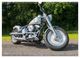 Thumbnail-12