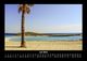 Thumbnail-11