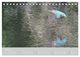 Thumbnail-11