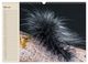 Thumbnail-10