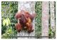 Thumbnail-14