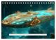 Thumbnail-11