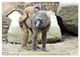 Thumbnail-11