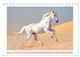 Thumbnail-12