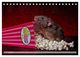 Thumbnail-12