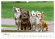 Thumbnail-10