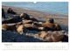 Thumbnail-13