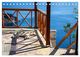 Thumbnail-11